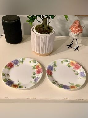 Corelle Summer Blush Salad Plates Set of 2